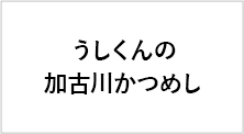うしくんの加古川かつめし